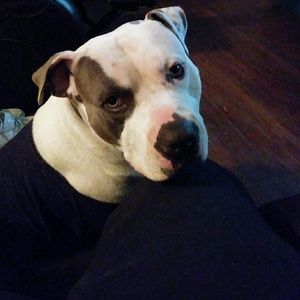 Meet your Posher, Adrian